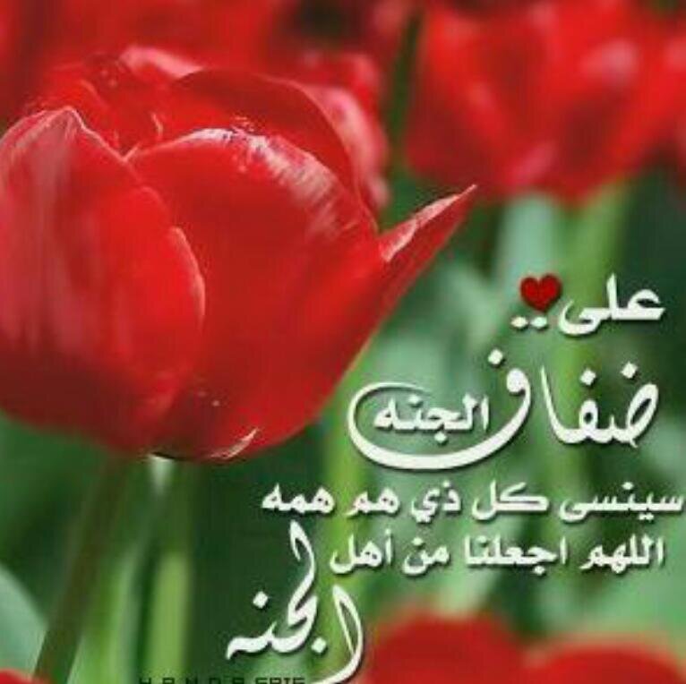‏‏الفقيره الى ربها