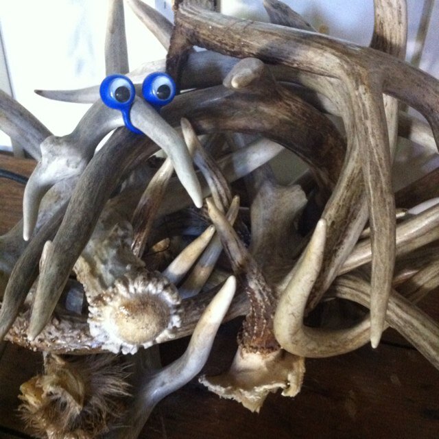 We put eyes on stuff. 
DM or tweet your favorite items. We will put eyes on them.