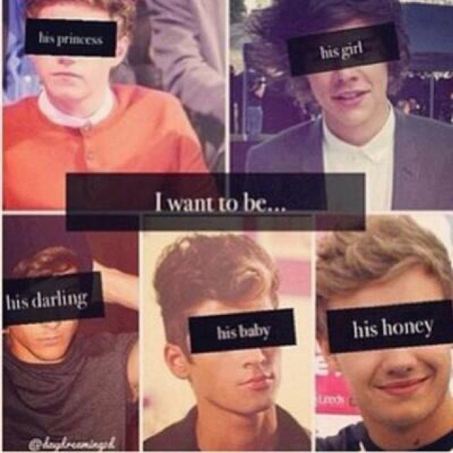 •Just Another Girl Thats Fell Hard For One Direction•