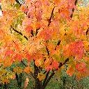 Barbara Buck - @bsbhistory - Twitter