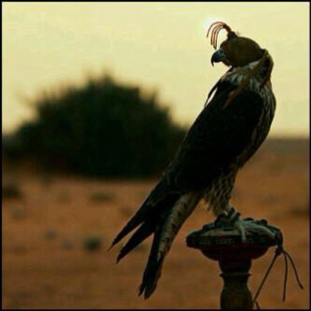 رعى آلله صآحب'ن قد له زمآني قـطـع وصـلــه وسـكـر تـلفونه تغــيــر عنـي وصـد وجفآني وصـك ألـبـاب مــن دونـي ودونه