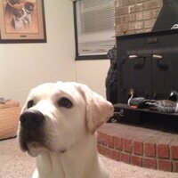 Durrette Wooten (@captang) 's Twitter Profile
