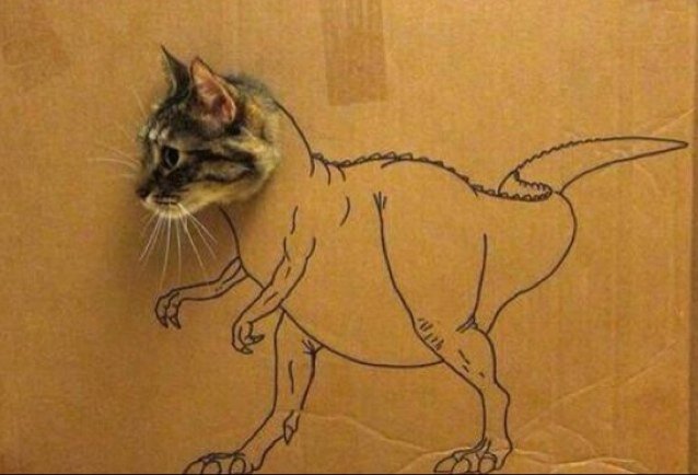 billiam49's profile picture. 