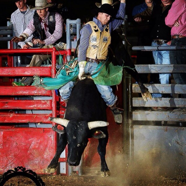 Bull rider