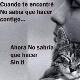 Cuenta creada para buscar mascotas extraviadas, así como para localizar los dueños de las que se han encontrado y los que están en adopción.