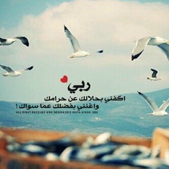 رحلت ~ ومقصدي كله.. عشان {انساڪ } نسيتك ؟!؟ [لا] حشى واللي خلق راسي {{ تناسيتڪ
