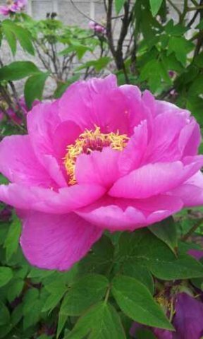 wind8833's profile picture. 