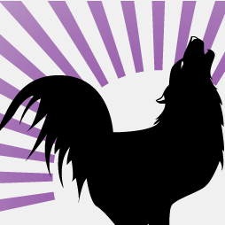 Making GISHWHES a Year Long Tradition!