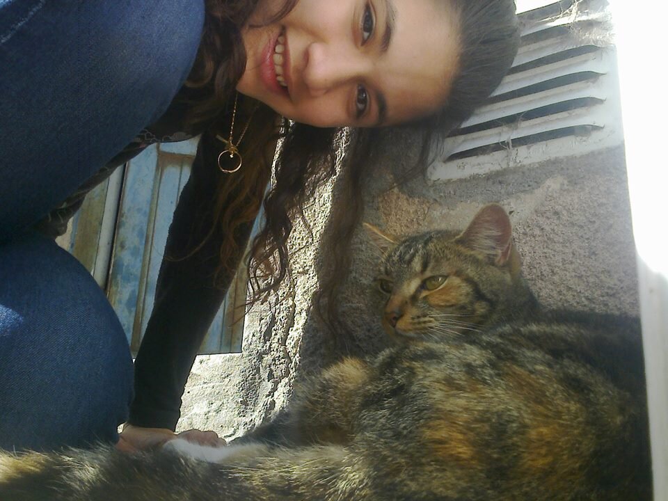 Aliados ♥