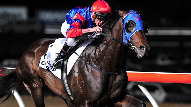 New Racing and Sports tipping Service
