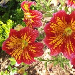 rhymeswithmarlo's profile picture. back in school for the first time in two years. i have to sit on a desk? what's a pencil?? there's homework??? why do all my professors ban laptops????