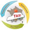 La Fédération Nationale Du Taxi à vue le jour en février 2008, lors du protocole 2008, suite à des désaccords majeurs avec la FNAT.