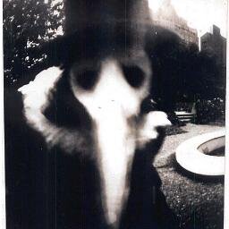 spookypix's profile picture. Warning! Not for the fainthearted...