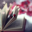 جميله - @LunaAyers1 - Twitter