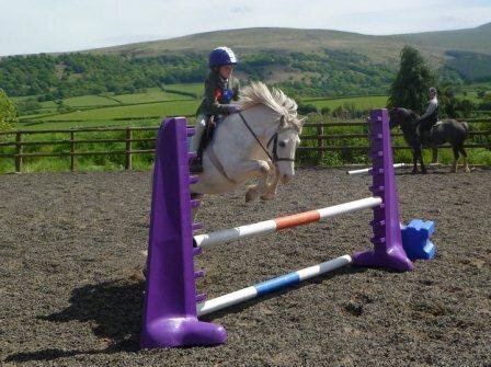 Charlottieozzie's profile picture. When life gives you lemons, make lemonade