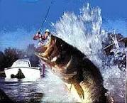 fishwisco's profile picture. Tips for wisconsin fishing