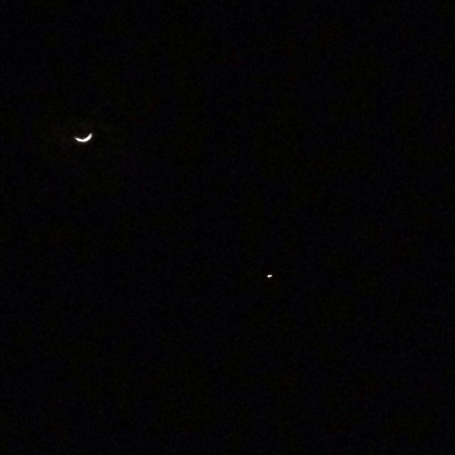 sfag_10's profile picture. 