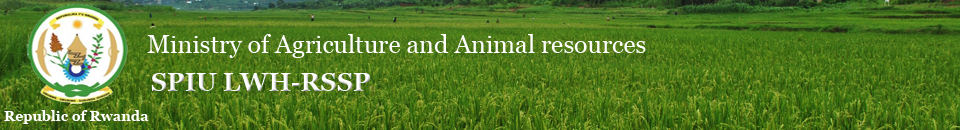 rssplwh's profile picture. Government of Rwanda, Ministry of Agriculture and Animal resources, Single Project Implementation Unit RSSP -LWH MINAGRI