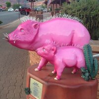 Nonco (@noncosticlist) 's Twitter Profile