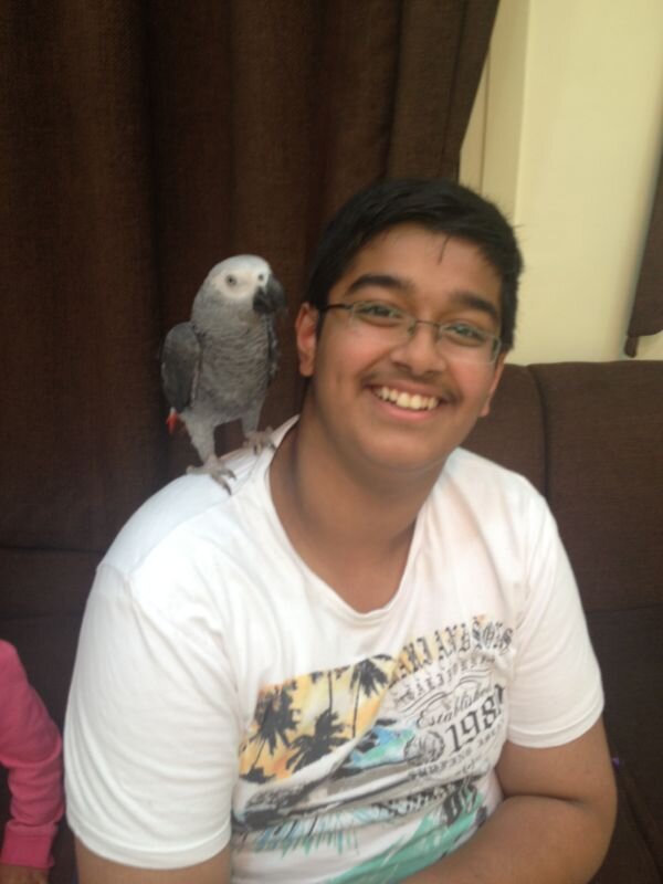 yaqcoubmurad's profile picture. 