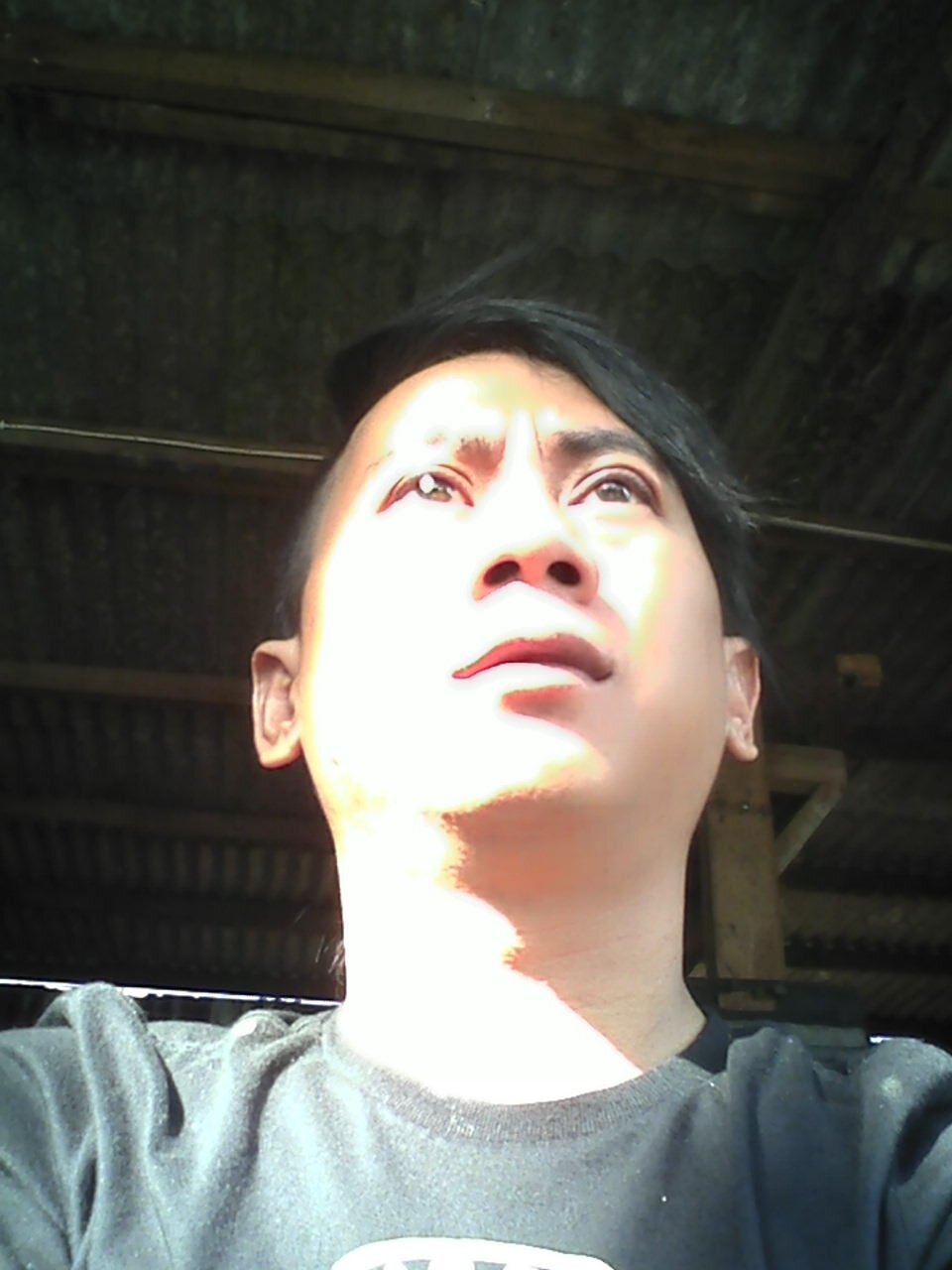 ovay_birds's profile picture. 