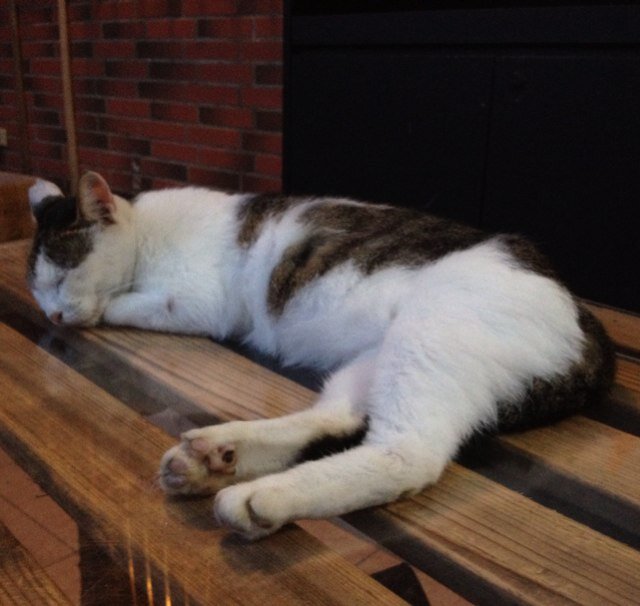 m_21_tasuku1202's profile picture. 三重/大阪/兵庫/機械工/野球/左投げ/和食/洋食/中華/何かええことないかしら～