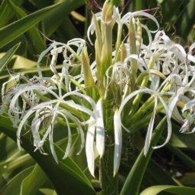 鍵 裕之 (hirokagi) / Twitter