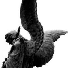 5ngelD5niel's profile picture. I just joined twitter Aug 23 2013 so you see I'm a little bit needy. Please be nice.