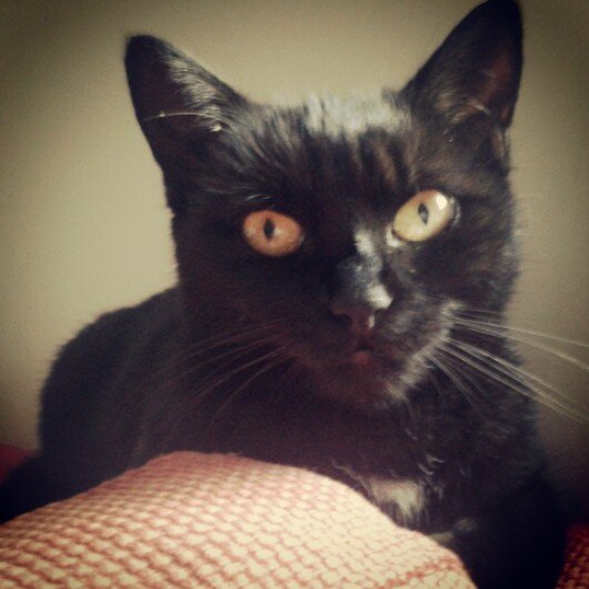 AnnaNowakAbroad's profile picture. 