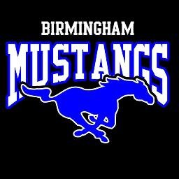 FOLLOW THE BIRMINGHAM MUSTANGS FASTPITCH FOR UPDATES ON ALL OUR TEAMS!!!!!