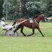 Toni Ripoll (@toni_ripoll) Twitter profile photo Toni Ripoll (@toni_ripoll) Twitter profile photo