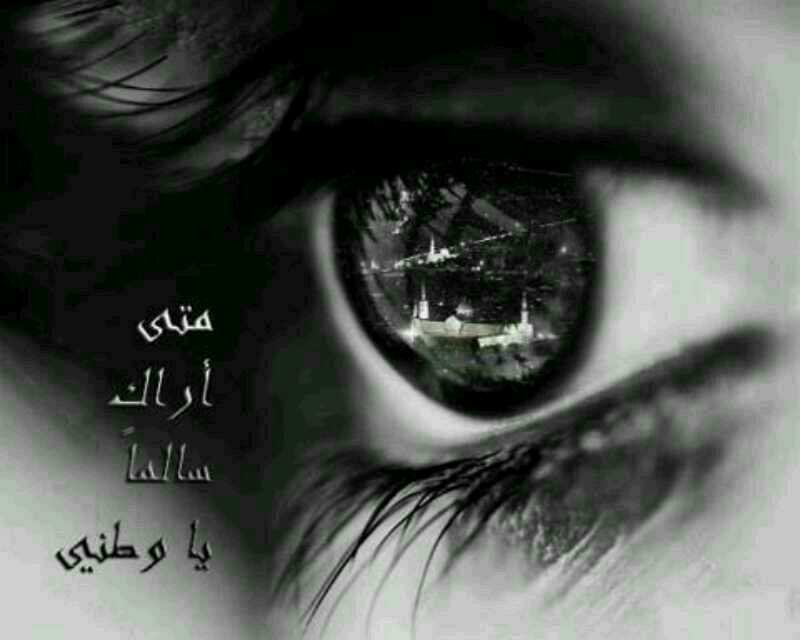 أستغفر الله العظيم الذي لا اله الا هو الحي