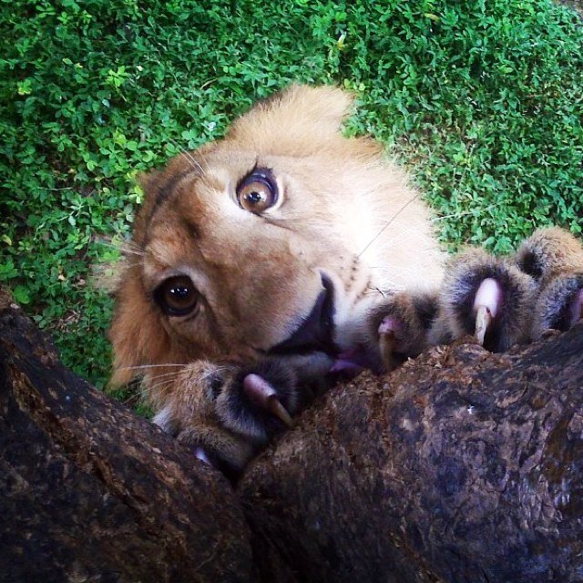 jrsalomon_98's profile picture. 