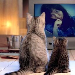 (Ơ̴̴͡.̮Ơ̴̴̴͡
) ! ju5t @ simpl3 giRL, like ✽ROSE
, D@NC3 IS my LIF3
, L♥V3 MUSIC
♩♬*þ