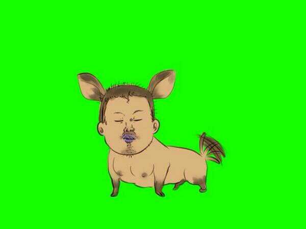 子犬先輩 クゥーン 子犬先輩 クゥーン