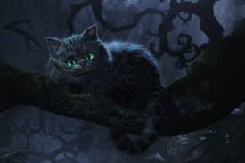Paranormal Book Review