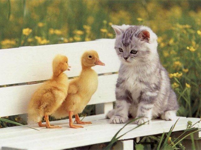 I have something that can cheer you up!