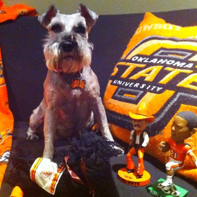 OK State alum, sports fan, dog lover, Super Hero for the Planet