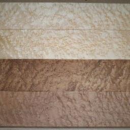Owner of Carriers Custom Sawing  A custom hardwood sawmill in Nova Scotia. We specialize in Birdseye maple and curly maple christian_carrier1@hotmail.com