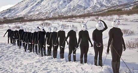 ccr_dane's profile picture. Exploradora