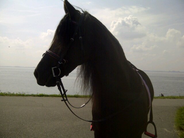 ♥ My loveeeee