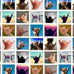 windsurfer and scuba diver , surf & sail lover !
