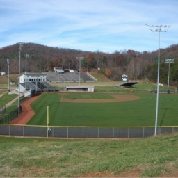 Father to 6, Follower of Christ, Ferrum College Baseball Head Coach, Hokies baseball alum ‘98, Two time conference coach of the year