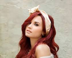 fans de one direction y demetria lovato (demi)