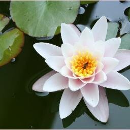 LauretteChateau's profile picture. #Data et #Sémantique