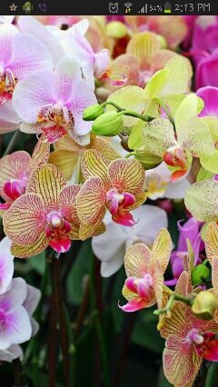 extratime22's profile picture. 