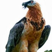 الحب والحياه (@ali856h) 's Twitter Profile