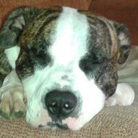 bmrvsl (@bmrvsl) 's Twitter Profile