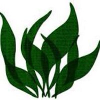 seeeaweed (@seeeaweed) 's Twitter Profile Photo seeeaweed (@seeeaweed) 's Twitter Profile Photo