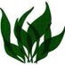 seeeaweed (@seeeaweed) Twitter profile photo seeeaweed (@seeeaweed) Twitter profile photo